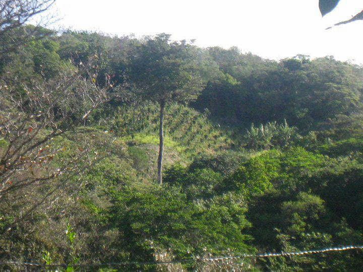 Fincas & Terrenos En Panamá. Playas Y Montañas.